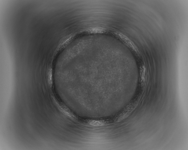 X0000113040494200909171524