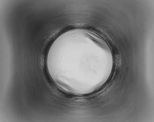 X0000113040495200909171524