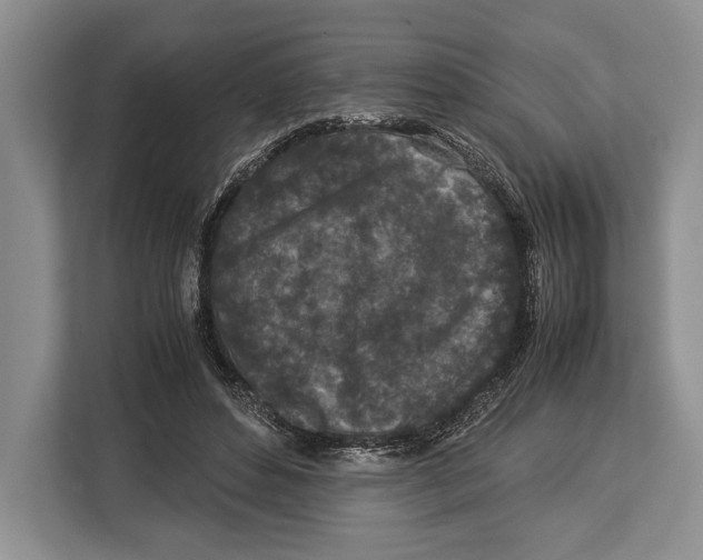 X0000113040496200909171524