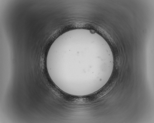 X0000113040497200909171524