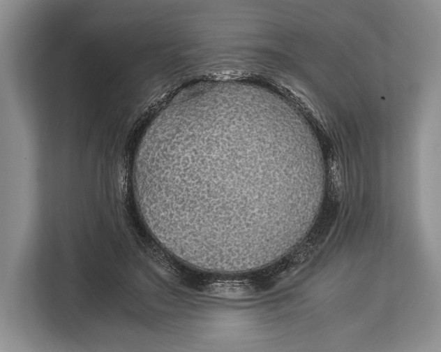 X0000113040499200909171524