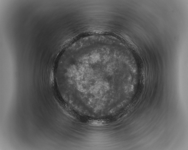 X0000113040500200909171524