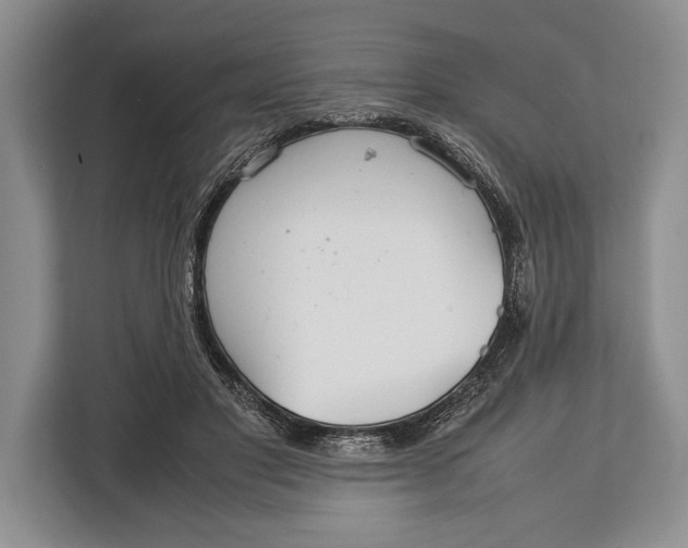 X0000113040501200909171524
