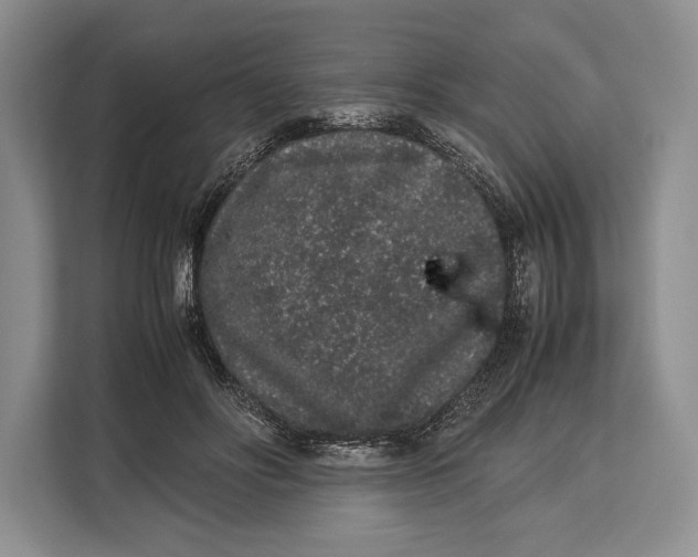 X0000113040502200909171524
