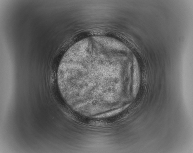 X0000113040503200909171524