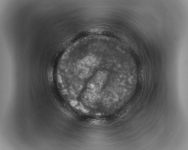 X0000113040504200909171524