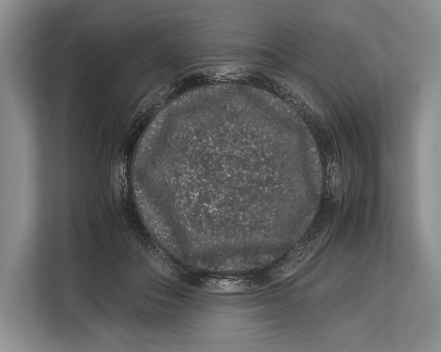 X0000113040506200909171524