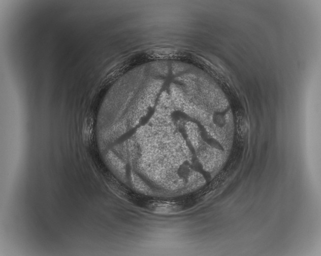 X0000113040507200909171524