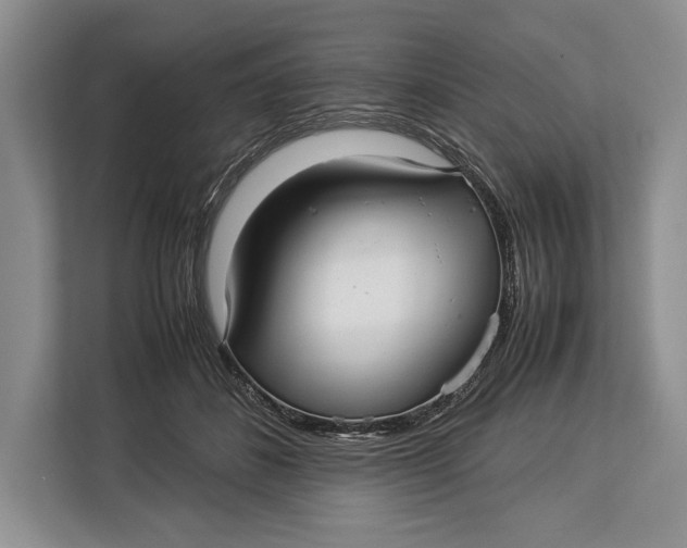 X0000113040508200909171524
