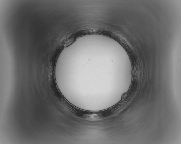 X0000113040509200909171524