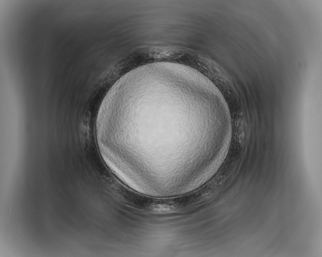 X0000113040510200909171524
