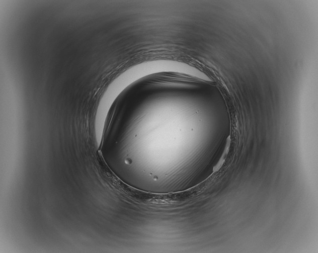 X0000113040512200909171524