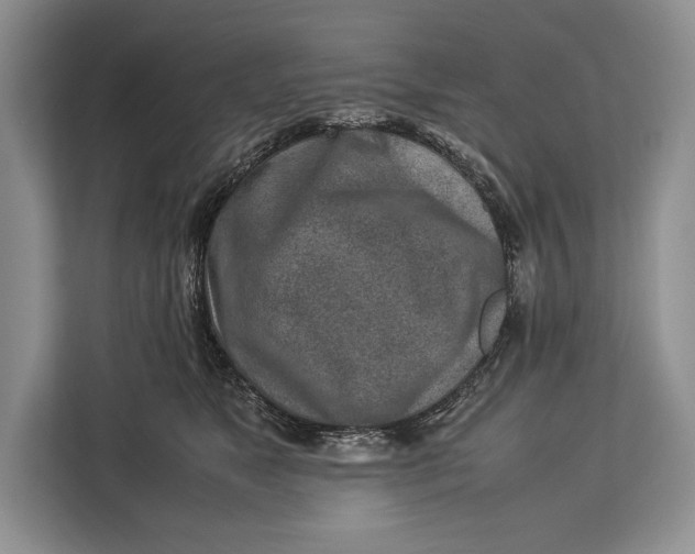 X0000113040517200909171523