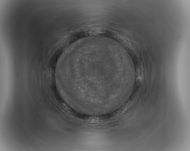 X0000113040519200909171523