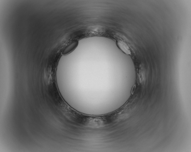 X0000113040520200909171523