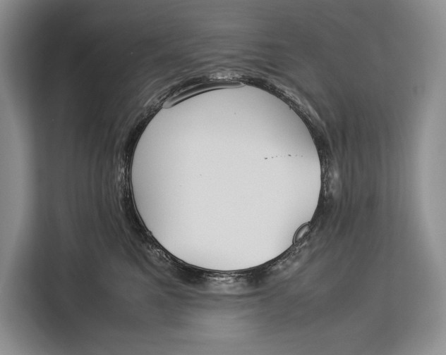 X0000113040521200909171523