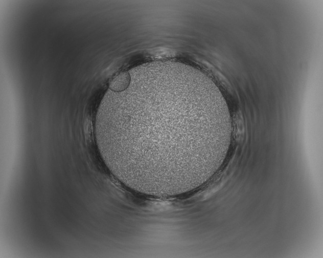 X0000113040523200909171523