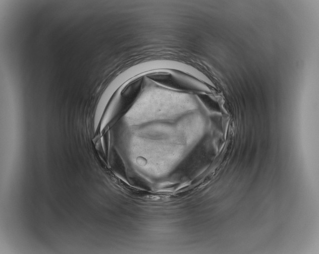 X0000113040524200909171523