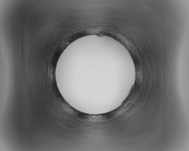 X0000113040525200909171523
