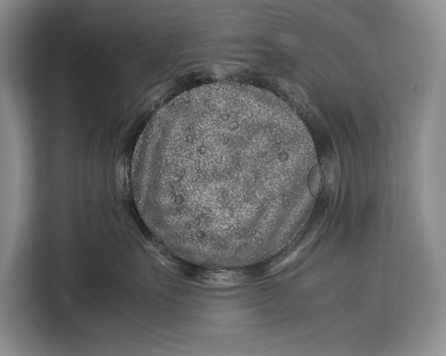 X0000113040527200909171523