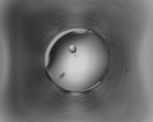 X0000113040528200909171523