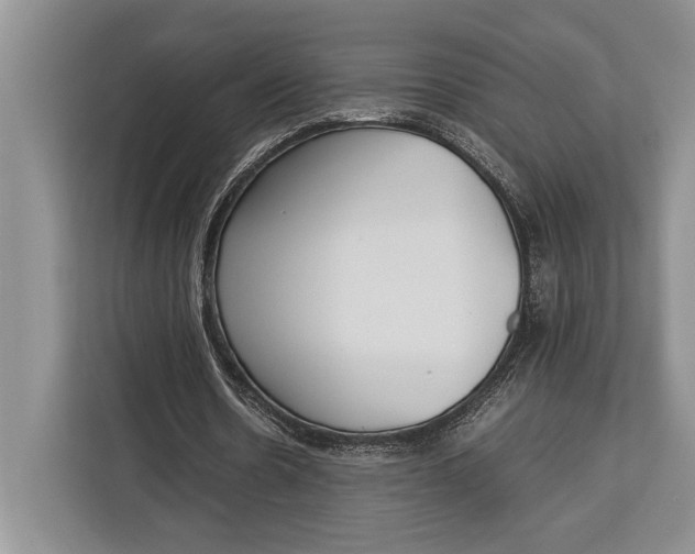 X0000113040530200909171523