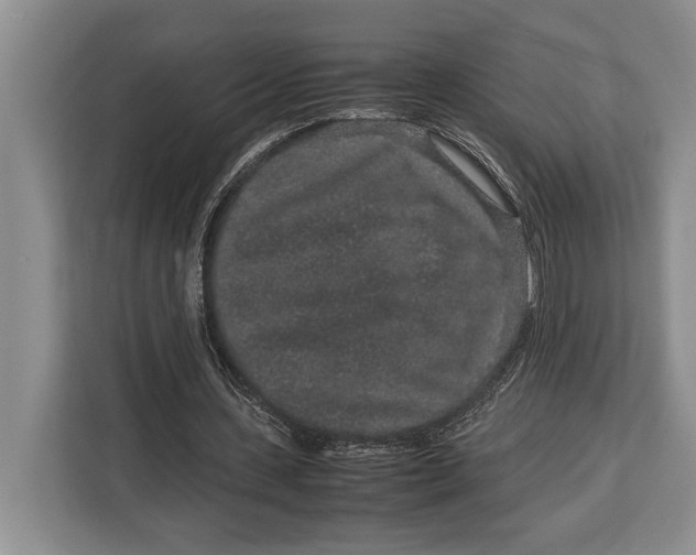 X0000113040531200909171523