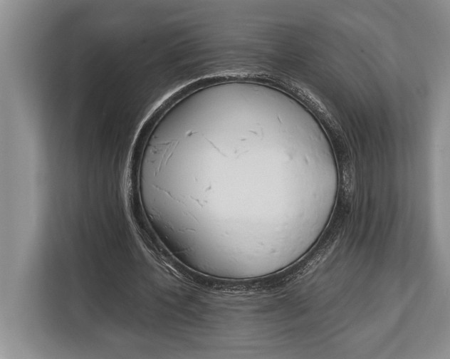 X0000113040532200909171523