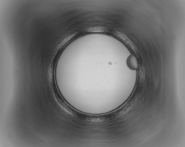 X0000113040533200909171523