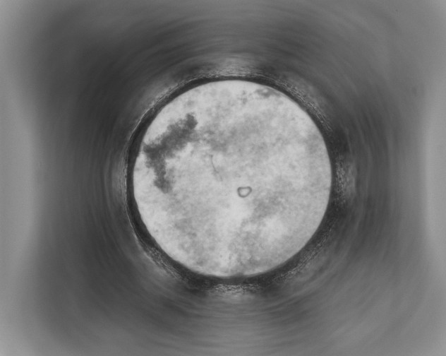 X0000113040534200909171523