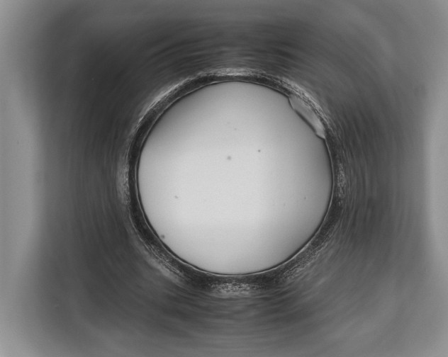 X0000113040535200909171523