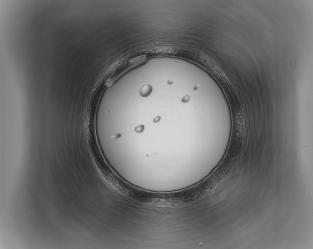 X0000113040538200909171523