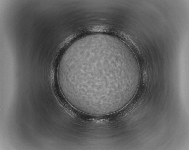 X0000113040539200909171523