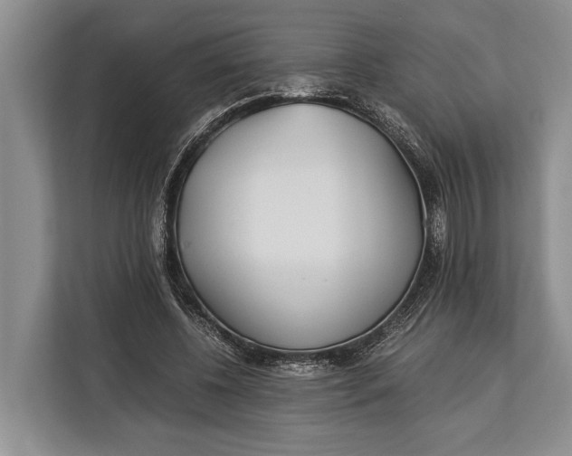 X0000113040540200909171523