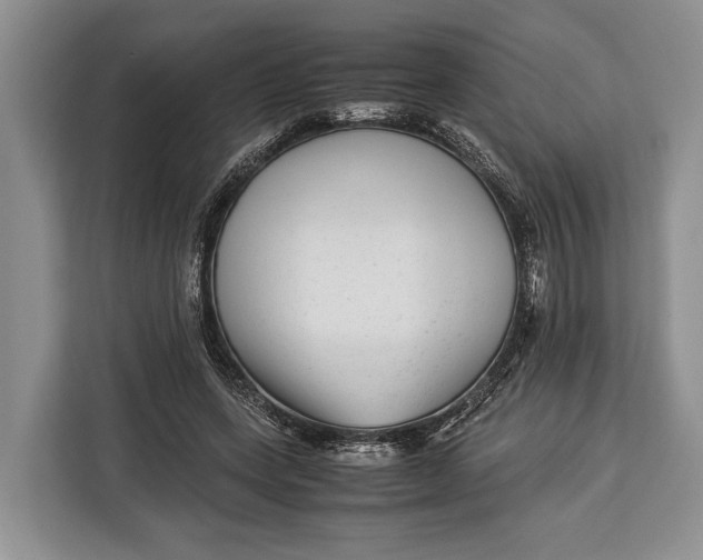 X0000113040543200909171523