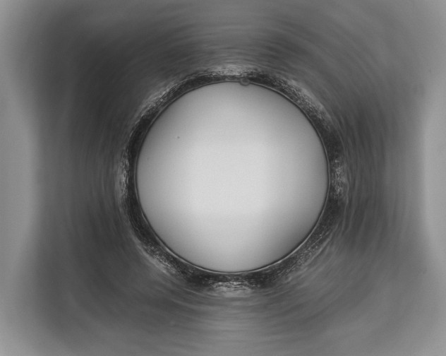 X0000113040544200909171523