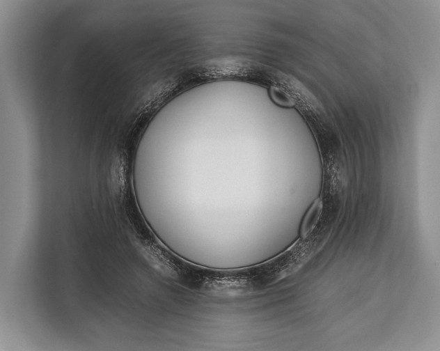 X0000113040546200909171523