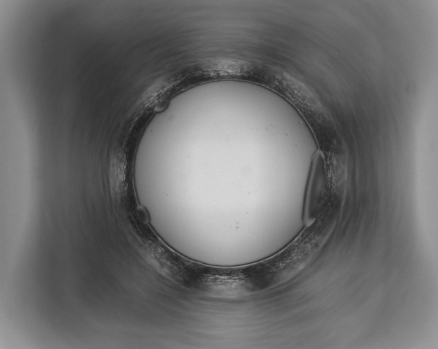 X0000113040548200909171523