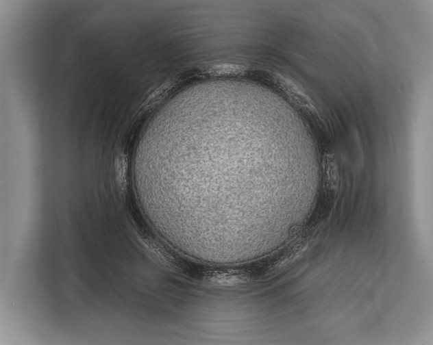 X0000113040550200909171523