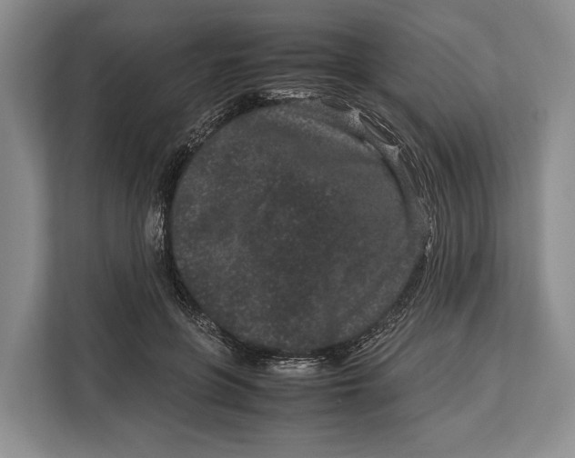 X0000113040551200909171523