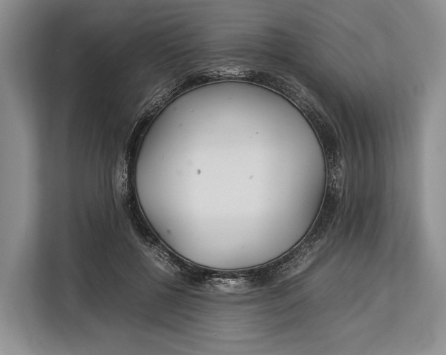 X0000113040552200909171523