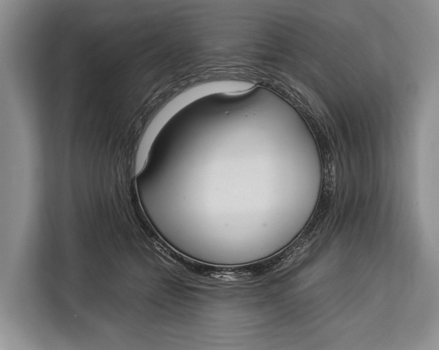 X0000113040558200909171523