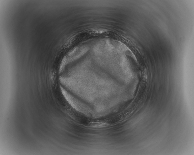 X0000113040559200909171523
