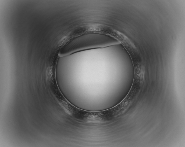 X0000113040560200909171523