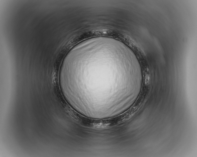 X0000113040561200909171523