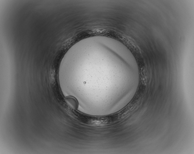 X0000113040563200909171523