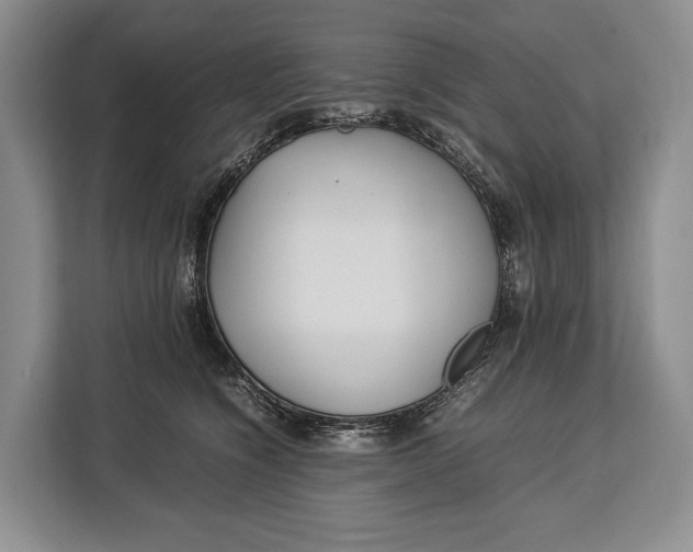 X0000113040564200909171523