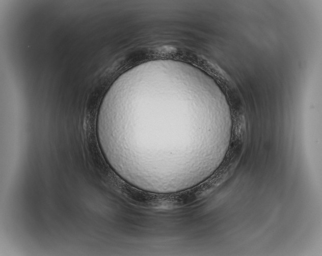 X0000113040565200909171523