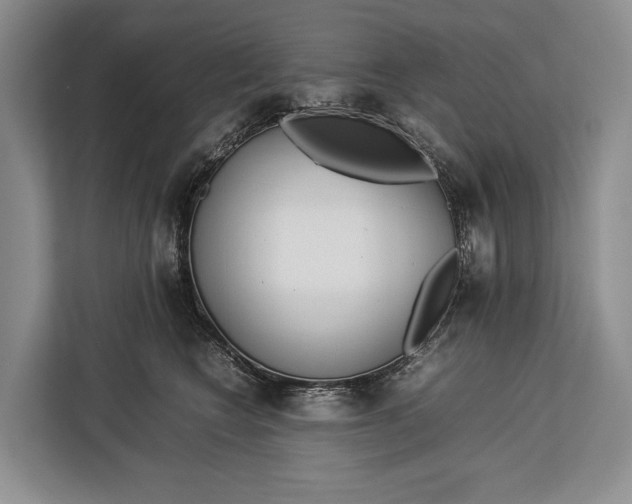 X0000113040566200909171523