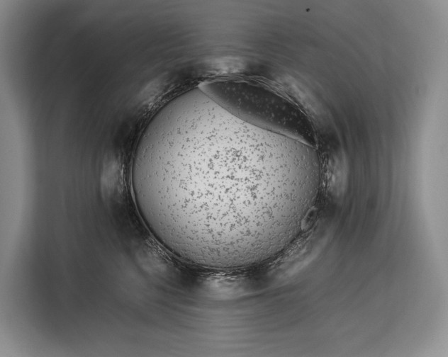 X0000113040568200909171523